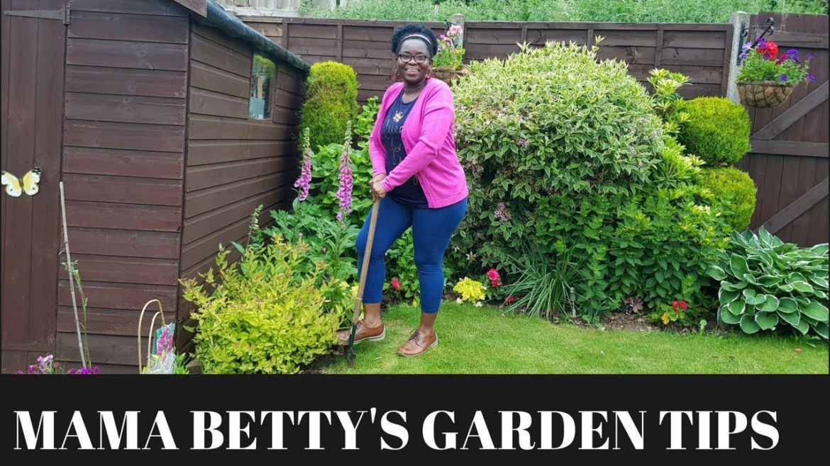 Basic Garden tips-EP2: Garden tools for beginners and compost to improve your soil