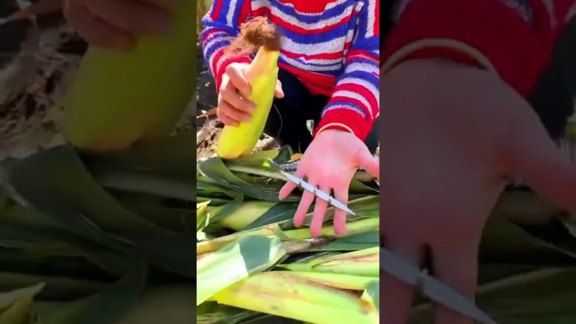 20 Corn peeler tool #shorts #gardener #tips