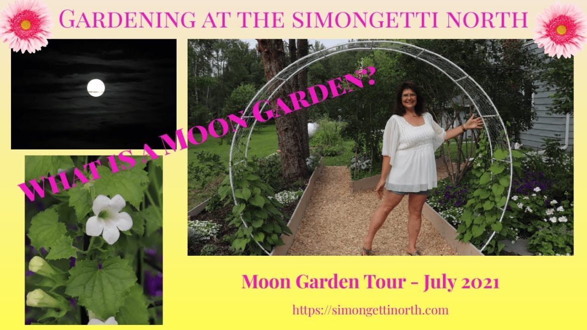 Moon Garden Tour – July 2021 ππΌ //Gardening at the Simongetti North Moon Garden Tour - July 2021 ππΌ //Gardening at the Simongetti North