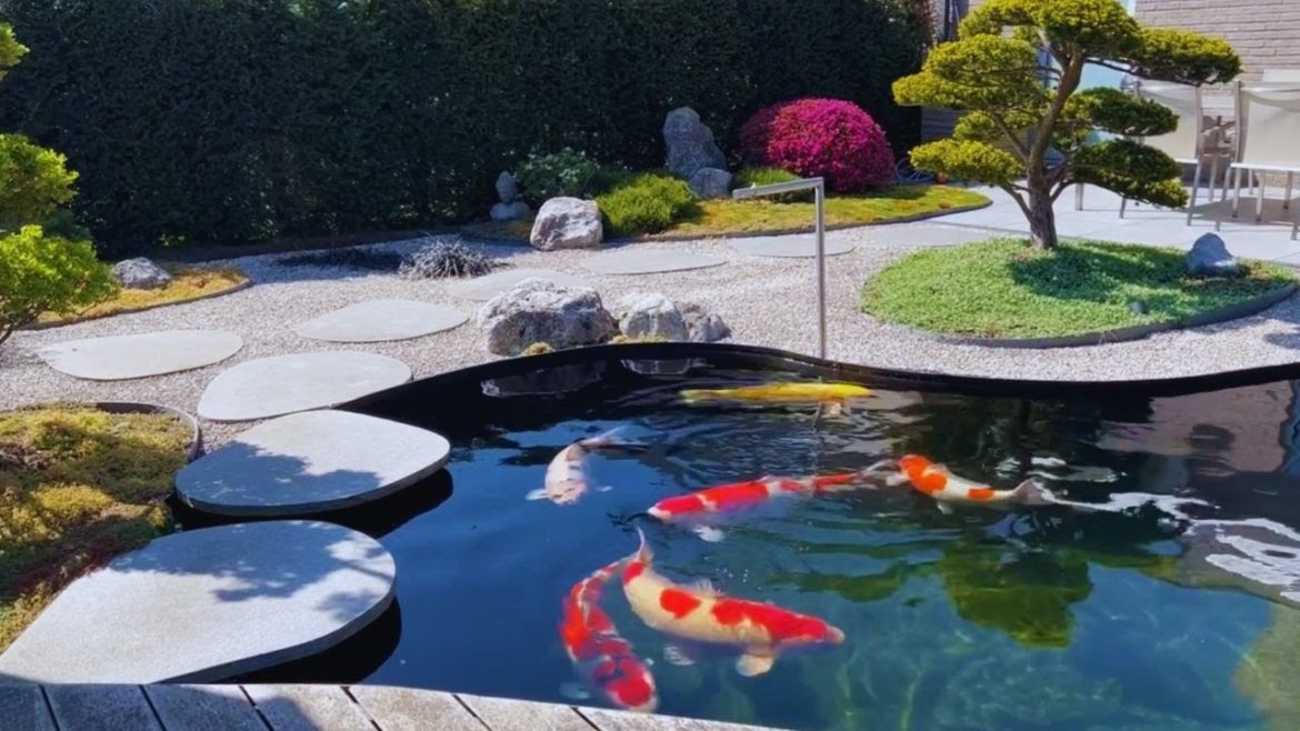 Top 7 Beautiful Japanese Koi Pond Garden Design | Unbelievable Koi Villa