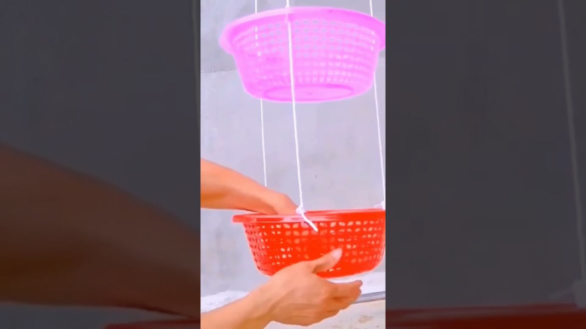 gardening is very enjoyable work #shorts #gardenlife #viralshorts