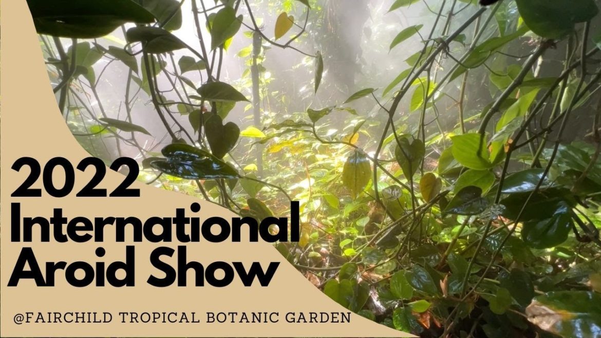 2022 International Aroid Show @Fairchild Tropical Botanic Garden | RARE PLANT SHOW VLOG 2022 International Aroid Show @Fairchild Tropical Botanic Garden | RARE PLANT SHOW VLOG