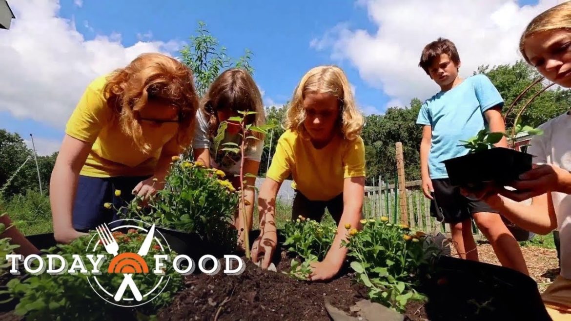 Freetown Farm Is Cultivating veggies — And Nurturing Communities Freetown Farm Is Cultivating veggies — And Nurturing Communities