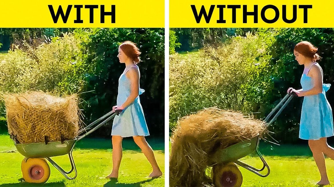 DIY Gardening Tools And Plant Growing Hacks DIY Gardening Tools And Plant Growing Hacks