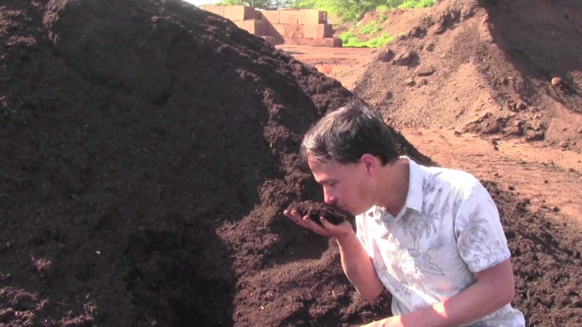 Best Organic Compost in Hawaii for Gardening