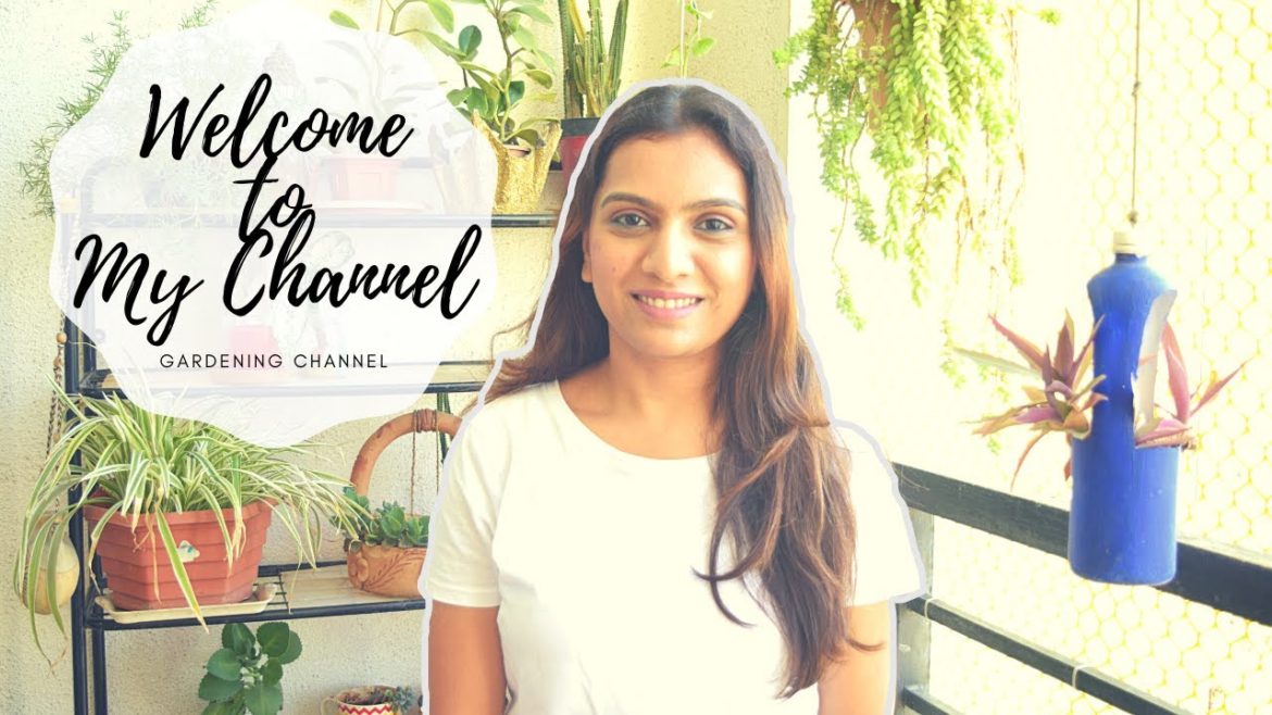 Welcome to my Gardening Channel | Gardening tips and tricks | DIY projects Welcome to my Gardening Channel | Gardening tips and tricks | DIY projects