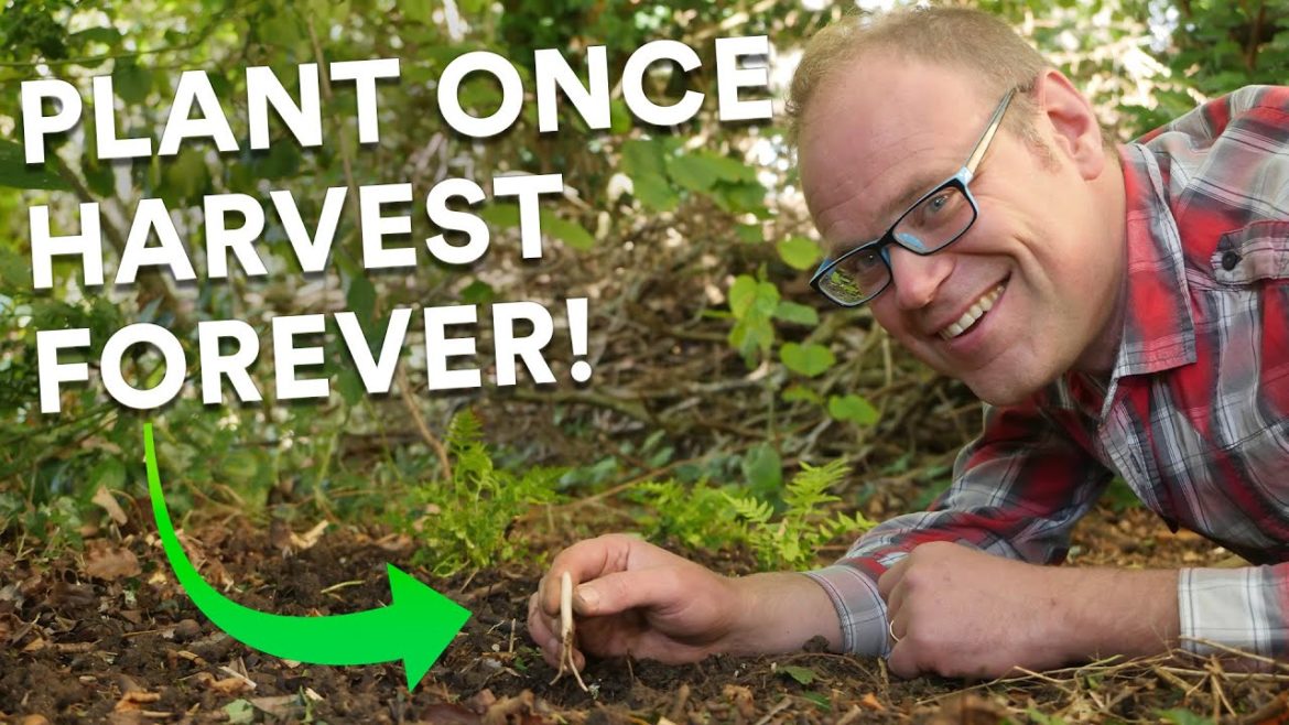 7 Easy Perennial Vegetables To Grow: Harvest Year After Year… ๐ฉโ๐พ ๐งโ๐พ 7 Easy Perennial Vegetables To Grow: Harvest Year After Year... ๐ฉโ๐พ ๐งโ๐พ