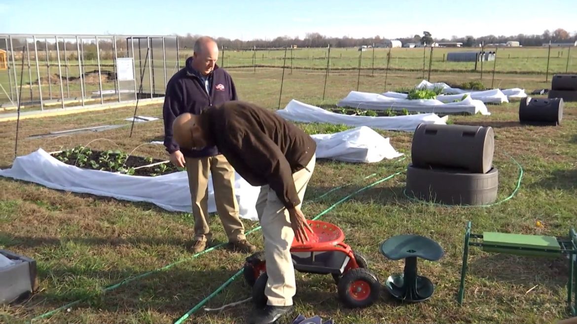 From the Ground Up - Tools for disabled gardeners