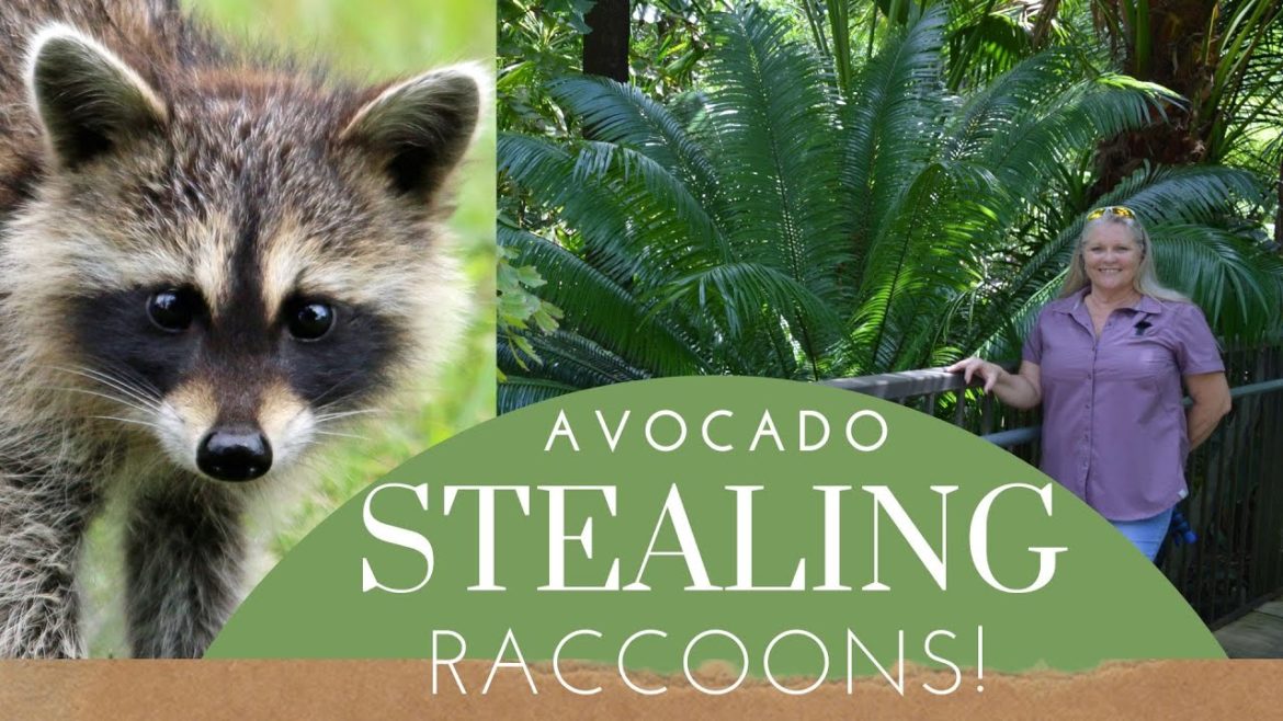 Planning to Travel to Orlando, FL? Take a Relaxing Garden Tour at Harry P Leu Gardens!