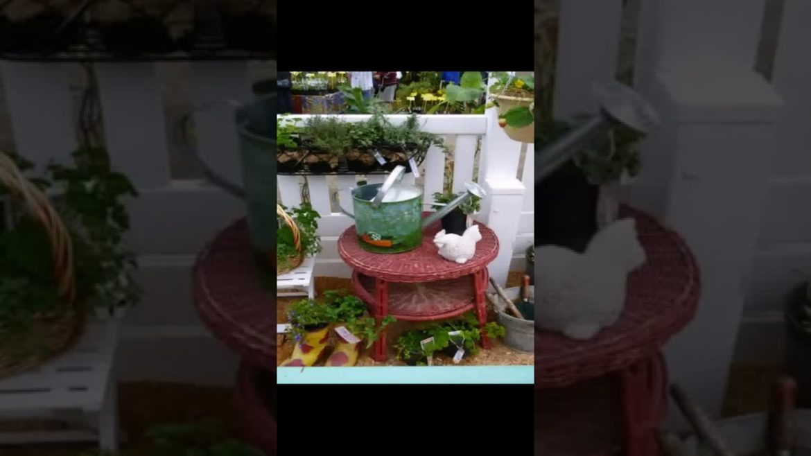 Landscape Desing ideas Best ideas for  garden and landscape #230 #shorts 52