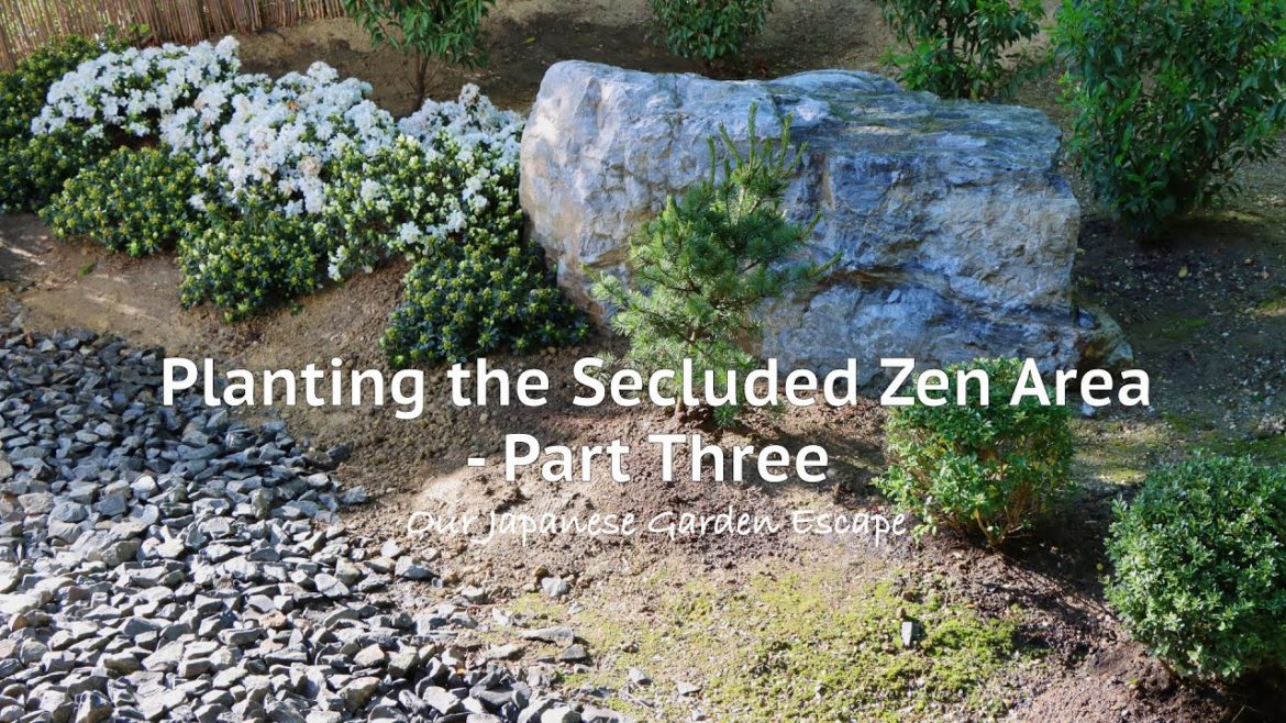 Planting the Front Zen Area - Part Three | Our Japanese Garden Escape
