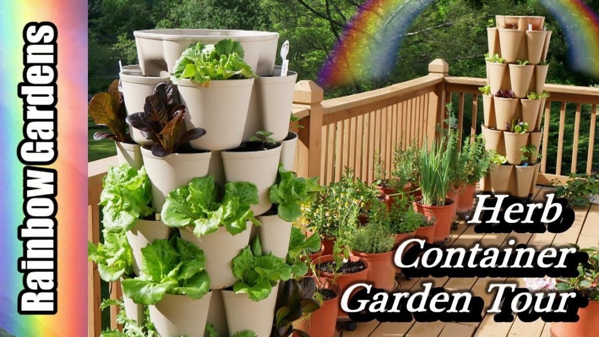 Herb Container Garden Tour, GreenStalk Leaf, YIKES My Scallions!!, French Tarragon, Mint, Much More!