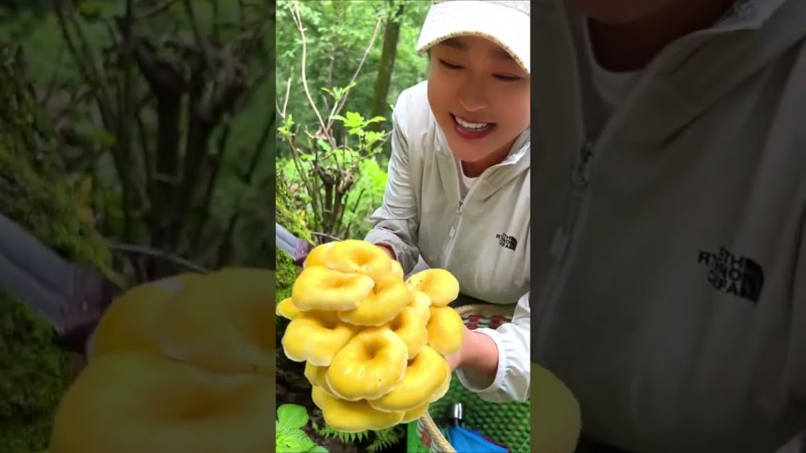 Collect Mushroom in the forest #shorts #gardener