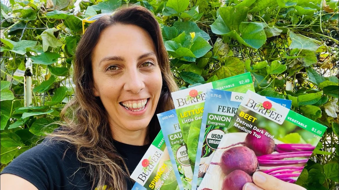 What to plant in your October Florida Vegetable Garden? (September Harvest)