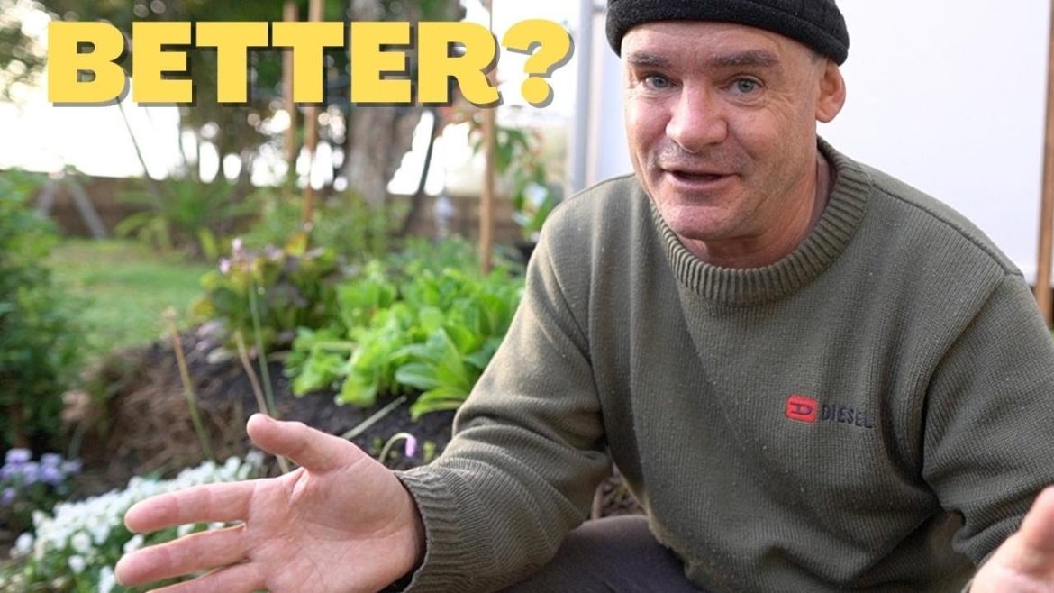 A Vegetable Garden That KEEPS ON GIVING!