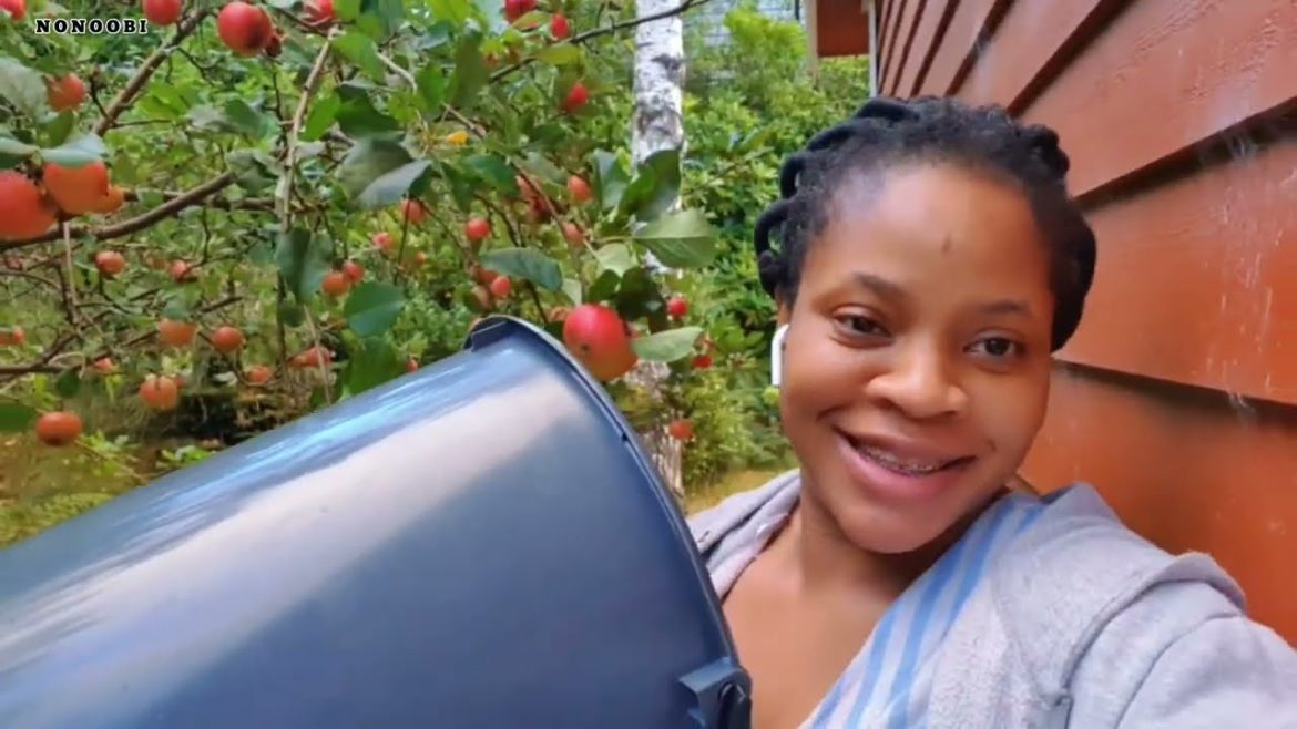 ASMR Apple Tree DOCUMENTARY enjoy the process from 0 to Edible APPLE, Took 11MNTH to complete this!! ASMR Apple Tree DOCUMENTARY enjoy the process from 0 to Edible APPLE, Took 11MNTH to complete this!!