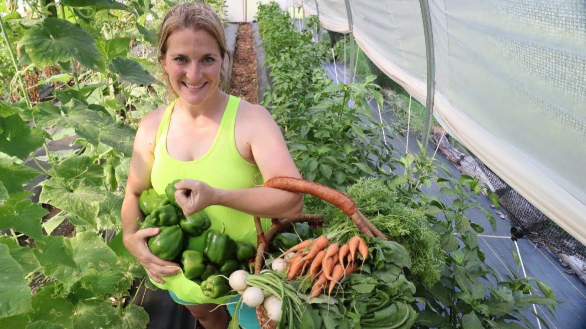 Family of 5 Lives Off FRONT YARD GARDEN | Growing 45# Abundance during Food Shortages Family of 5 Lives Off FRONT YARD GARDEN | Growing 45# Abundance during Food Shortages