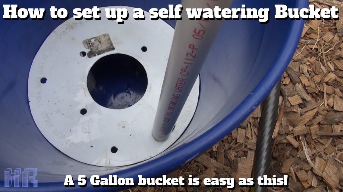 ⟹ HOW TO set up 5 gallon self watering buckets | Gardening | HeirloomReviews