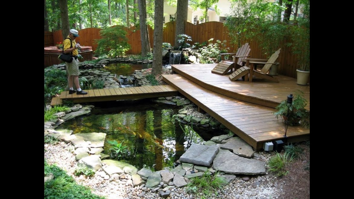 small koi fish in garden for ponds design ideas small koi fish in garden for ponds design ideas