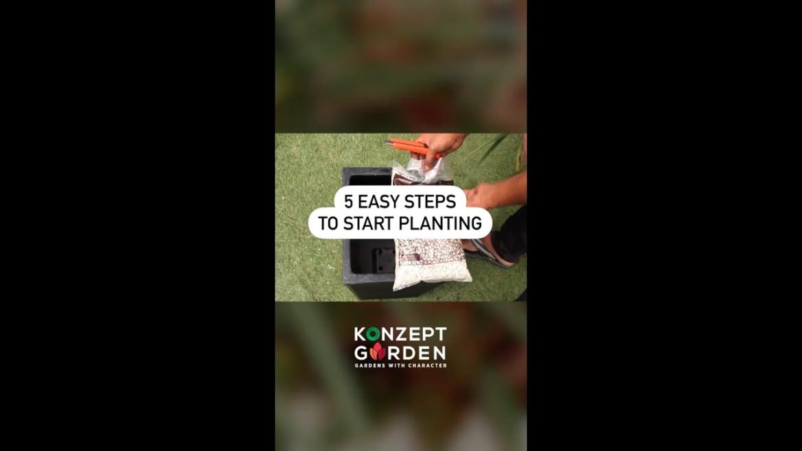 5 Easy Steps to Starting Planting | Gardening Tips | Ziany Hydro Planter