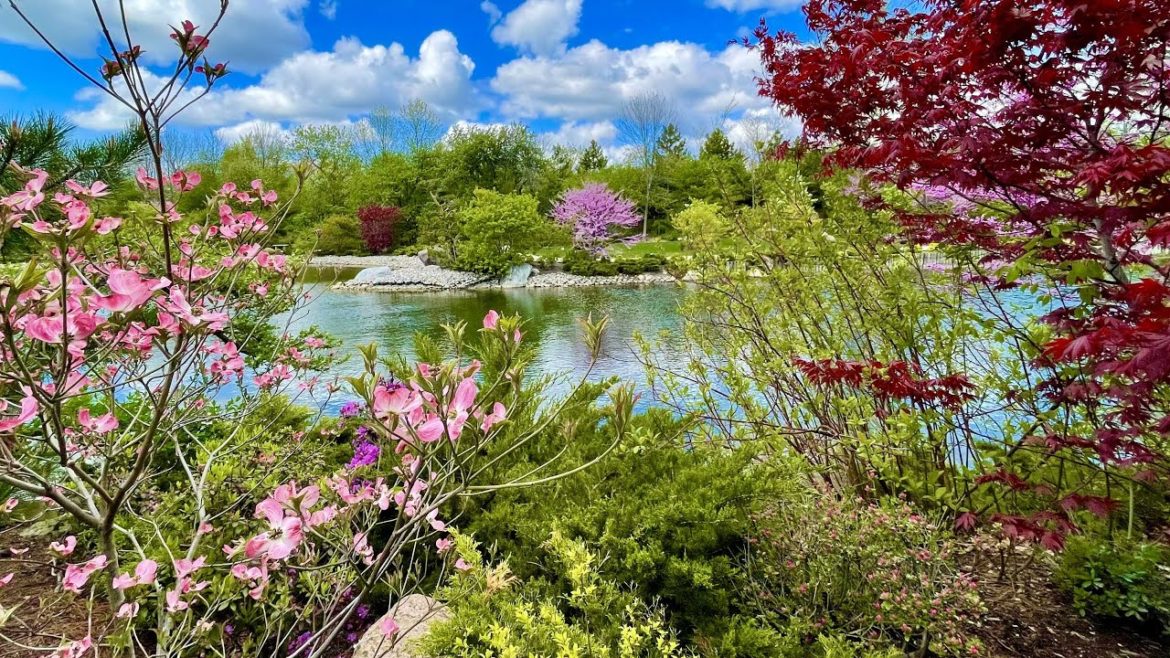 The Japanese Garden at Frederik Meijer Gardens – Grand Rapids, Michigan The Japanese Garden at Frederik Meijer Gardens - Grand Rapids, Michigan