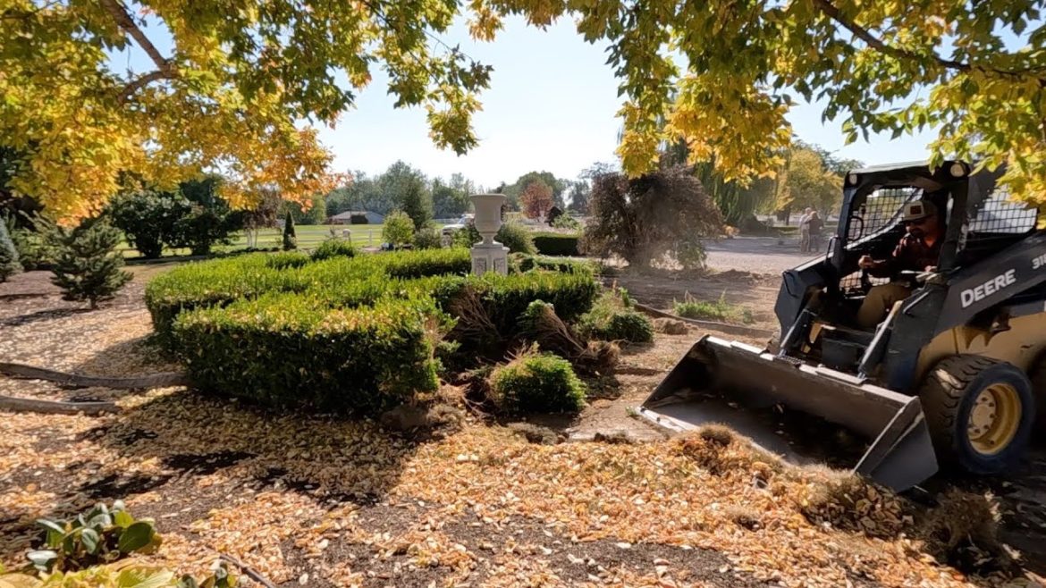 Garden Answer: Hartley Landscaping & Back Garden Update Tour + Planting Garlic! 😃💚🧄 Hartley Landscaping & Back Garden Update Tour + Planting Garlic! 😃💚🧄