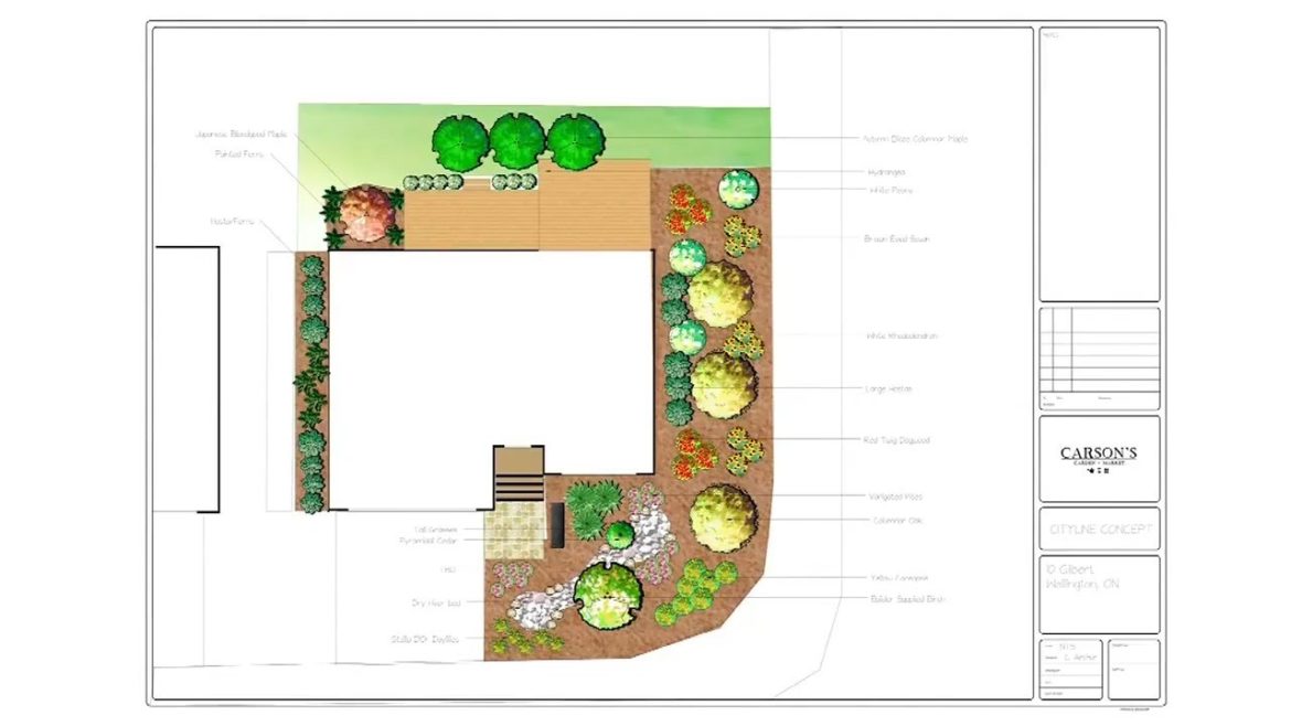 A front yard makeover using cardboard instead of landscape fabric A front yard makeover using cardboard instead of landscape fabric