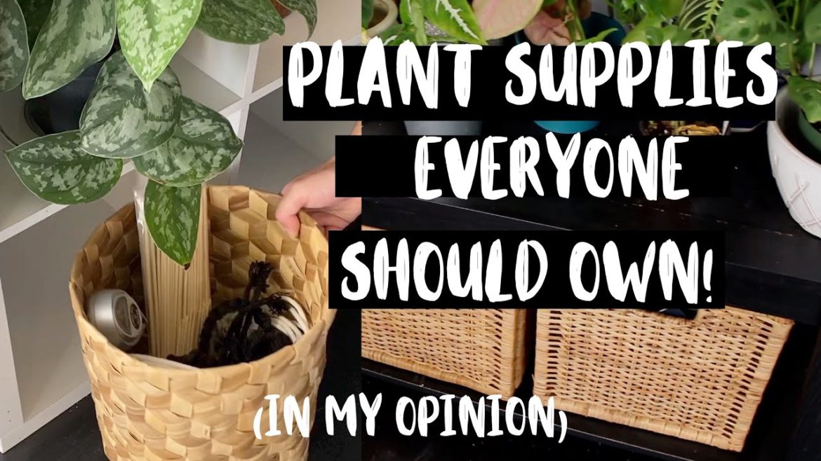 How I Store My Plant Supplies! | My Favorite Houseplant Supplies + Storage! How I Store My Plant Supplies! | My Favorite Houseplant Supplies + Storage!