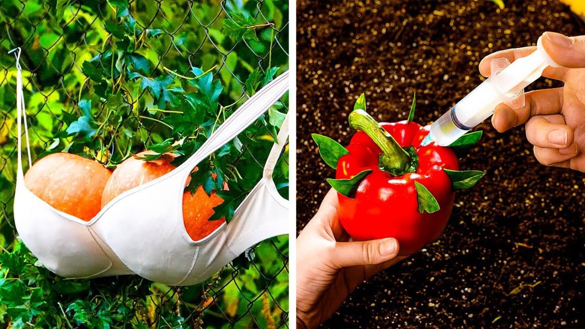 Clever Gardening Hacks That'll Make You Surprise With The Results