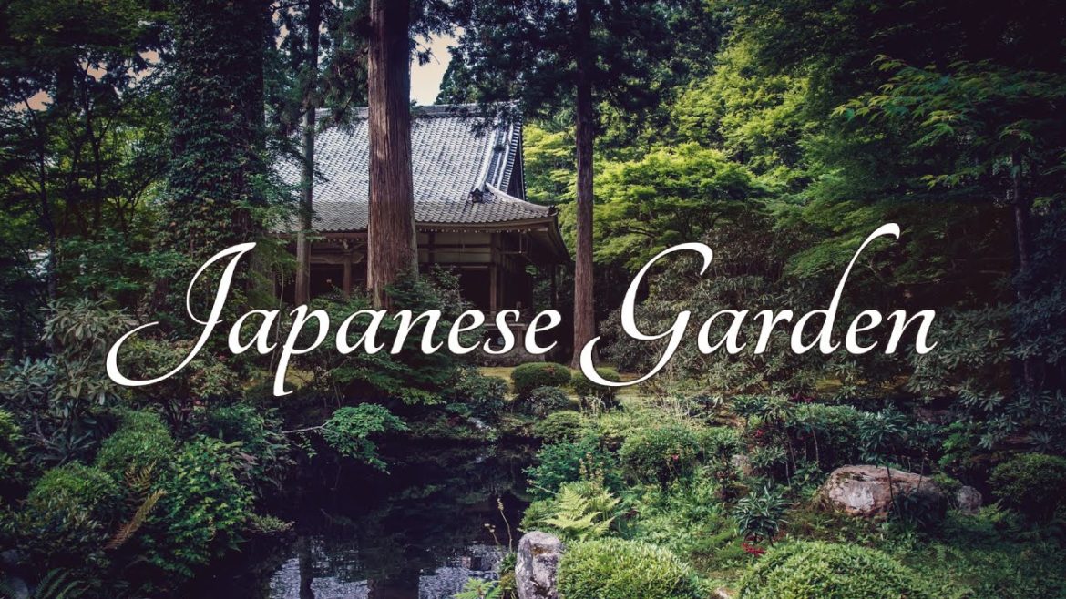 Japanese Garden ambience with music – melancholic music and peaceful sounds of nature in a garden Japanese Garden ambience with music - melancholic music and peaceful sounds of nature in a garden