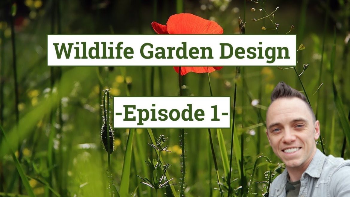 Wildlife Garden Design Guide – Episode 1 – Planning the Garden Wildlife Garden Design Guide - Episode 1 - Planning the Garden