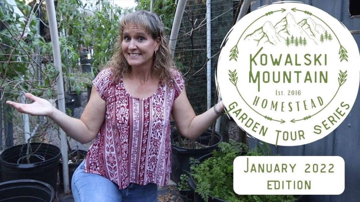 January Container Garden Tour | Zone 9a Gardening