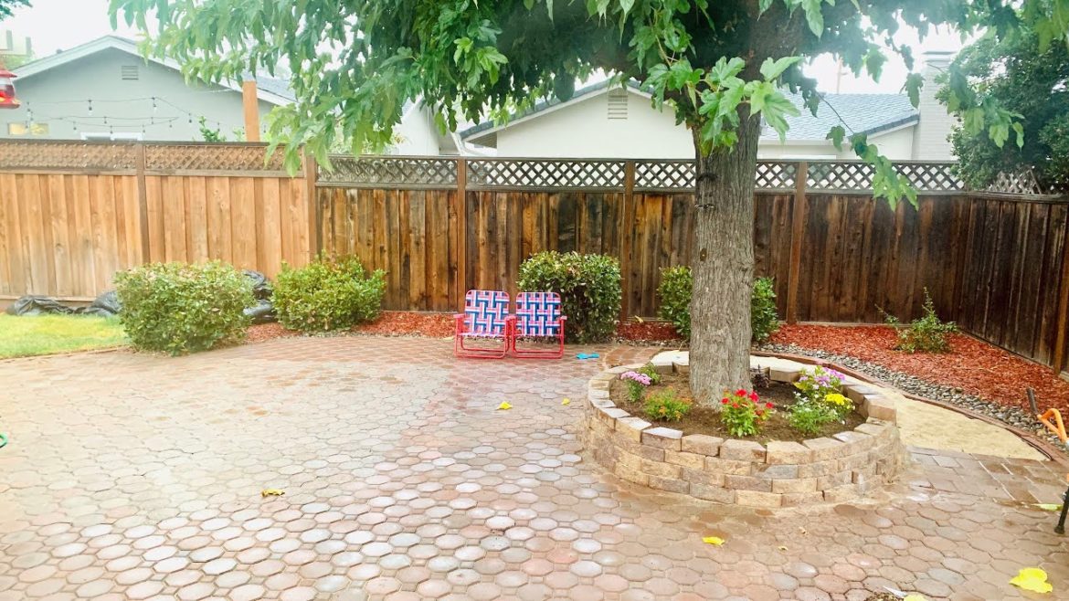 Backyard Landscaping Idea ||  Backyard Renovation time lapse video