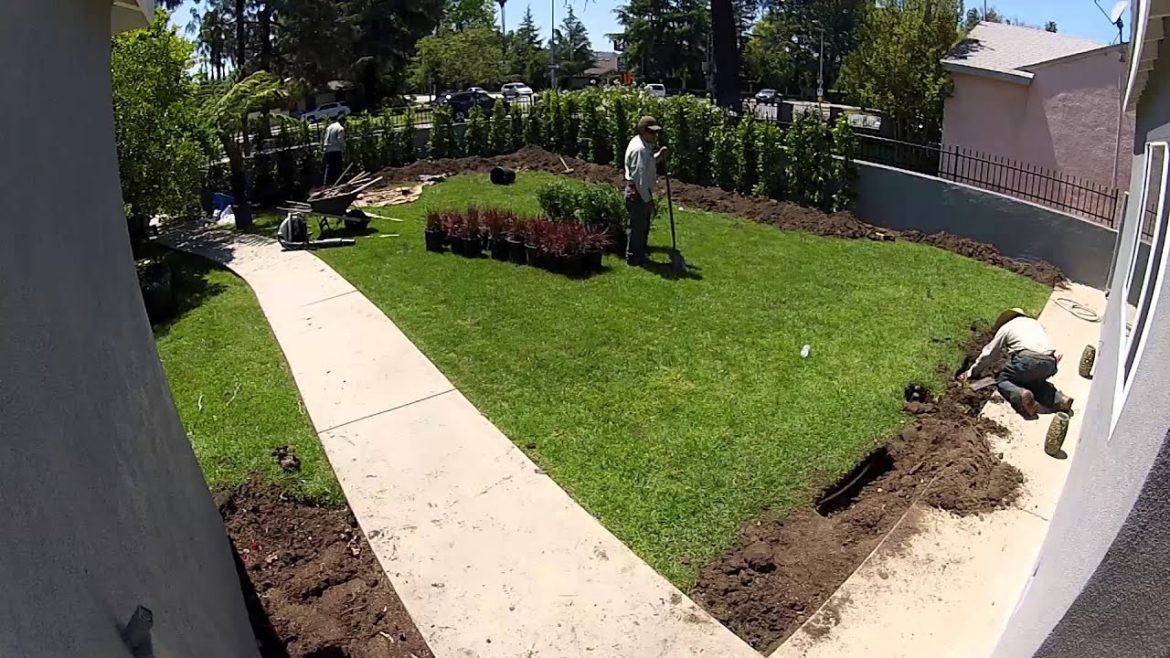 Ambron Front Yard Landscape Time Lapse