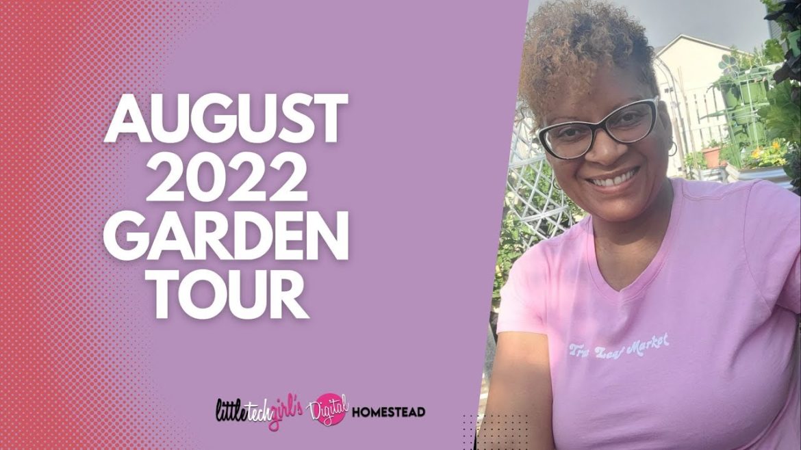 August Backyard Garden Tour