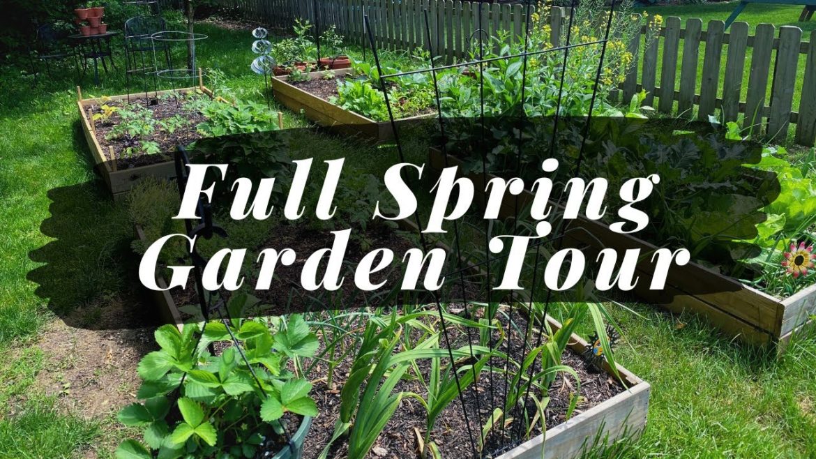 FULL Garden Tour | Raised Bed and Container Garden | Zone 6B