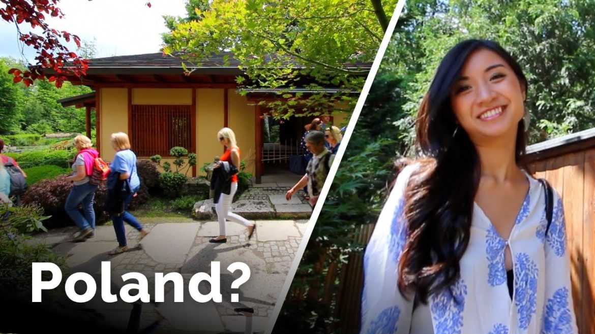 Is This Really Poland? Wrocław Japanese Garden Is This Really Poland? Wrocław Japanese Garden