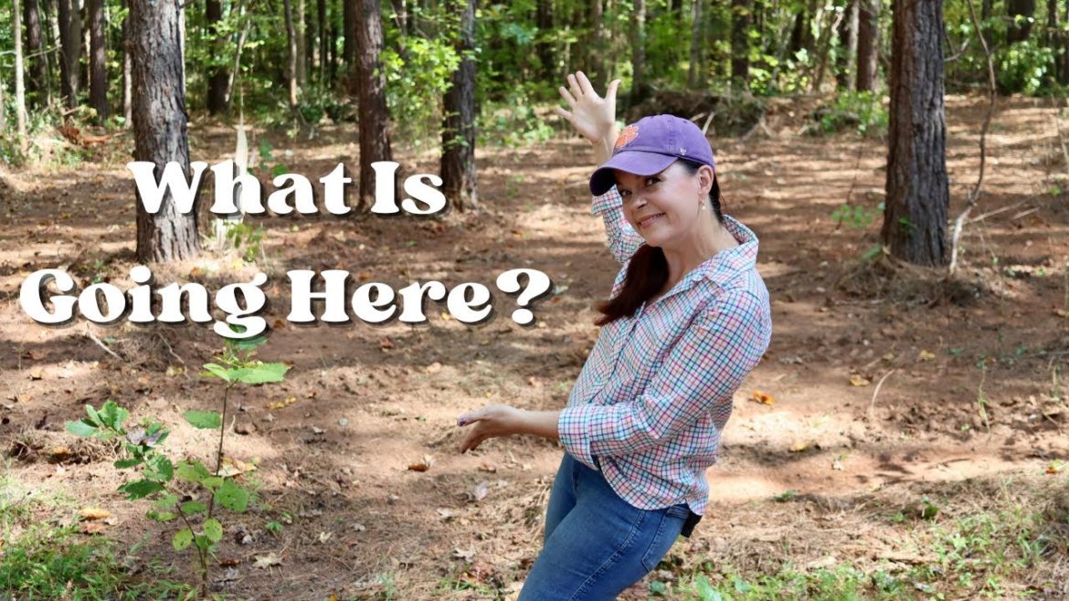 How to Add the Colors of Fall To Your Garden & A New Project | Gardening with Creekside How to Add the Colors of Fall To Your Garden & A New Project | Gardening with Creekside