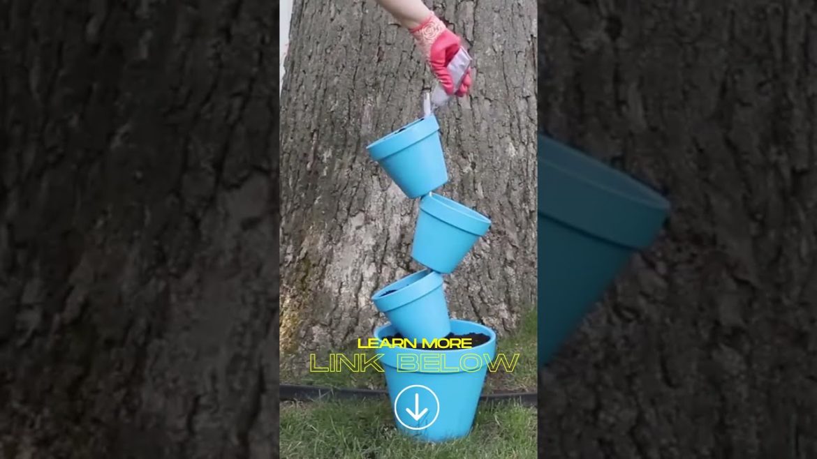 Garden design #shorts