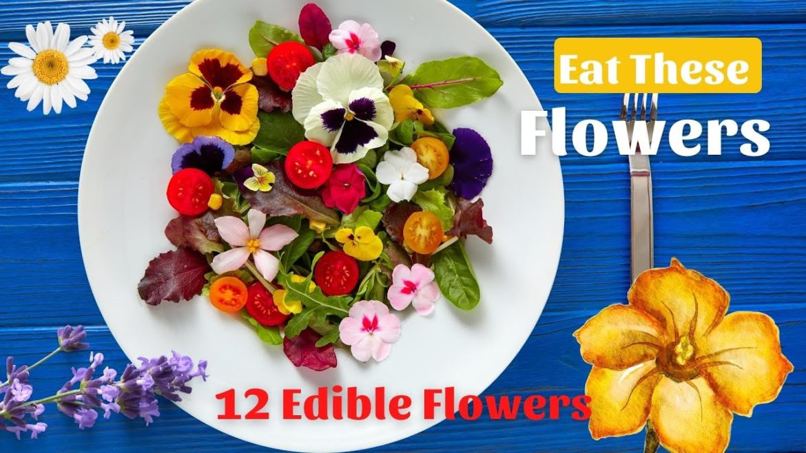 Eat These Flowers #shorts #factsandcures Eat These Flowers #shorts #factsandcures