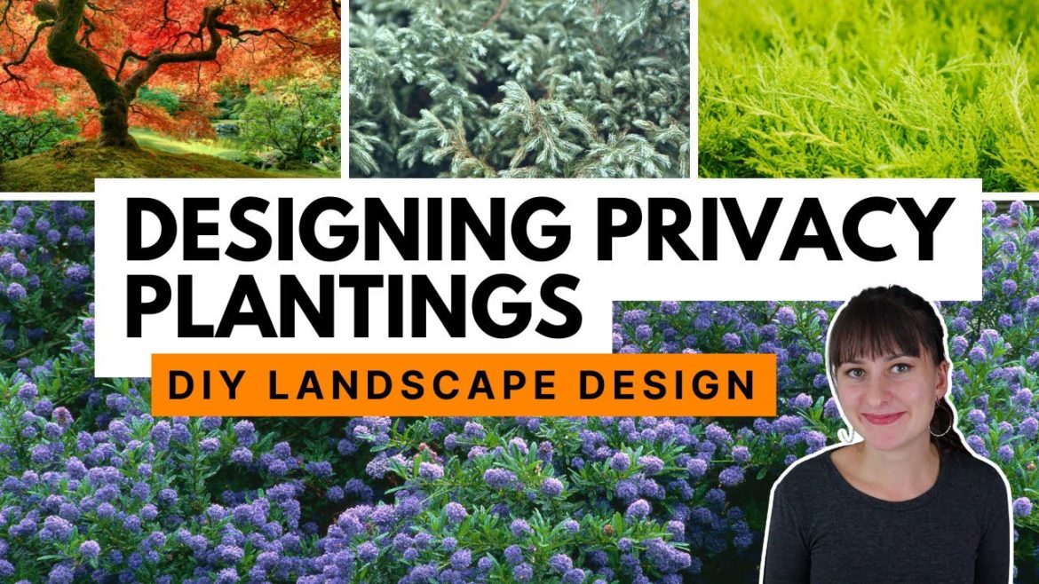 How to select privacy plants to design a natural screen 🪴 Private backyard landscape design How to select privacy plants to design a natural screen 🪴 Private backyard landscape design