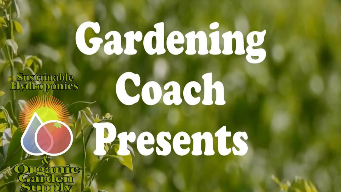 Gardening Coach Presents – Episode 9 – Pest Prevention & Companion Plants Gardening Coach Presents - Episode 9 - Pest Prevention & Companion Plants