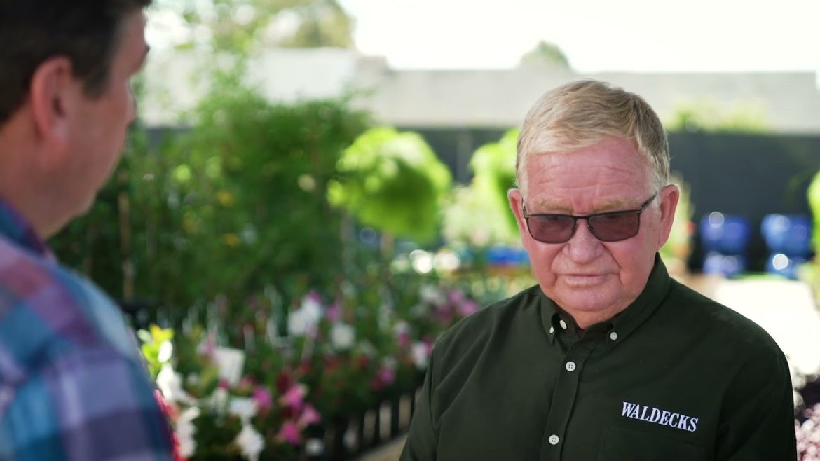 The Garden Gurus - Waldecks Melville