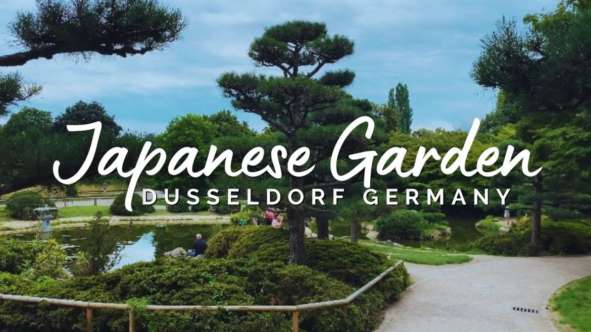 Japanese Garden in Düsseldorf Germany I Botanical garden Japanese Garden in Düsseldorf Germany I Botanical garden