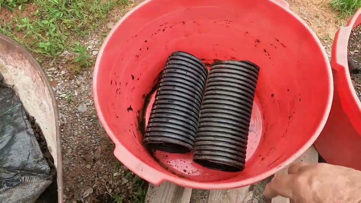 HOW TO BUILD CONTAINER GARDEN | SHEDWAR GLOBAL GARDENING 22 HOW TO BUILD CONTAINER GARDEN | SHEDWAR GLOBAL GARDENING 22