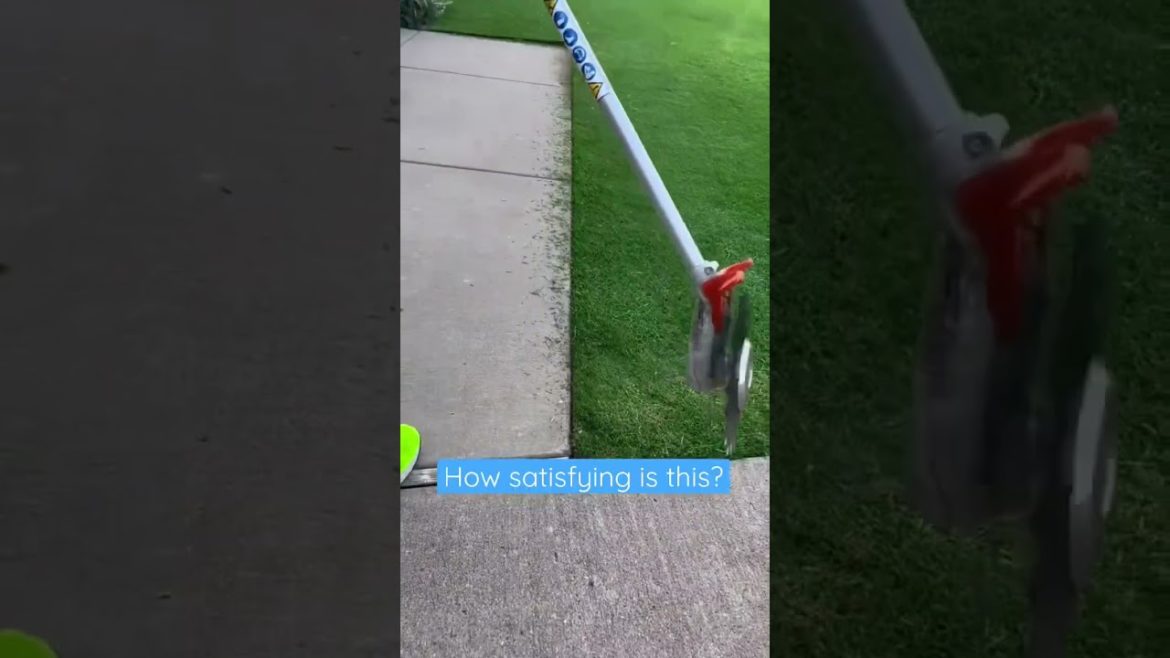 How SATISFYING is this #gardening ?