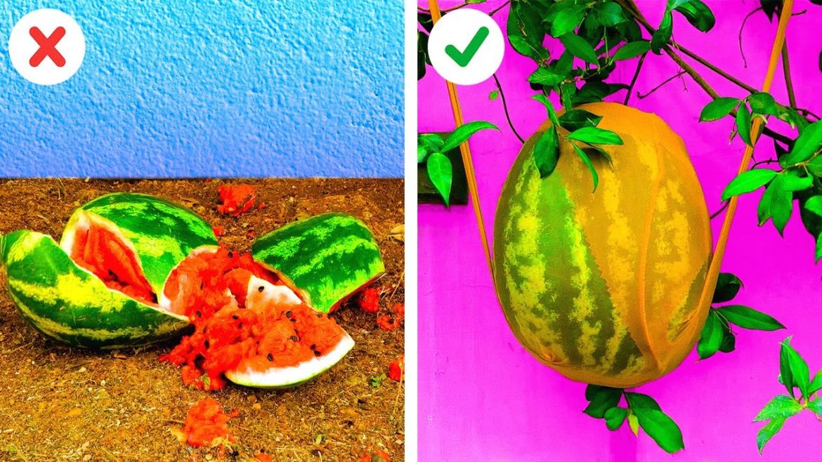 HELPFUL GARDENING TIPS to keep your plant green by 5-minute crafts MEN