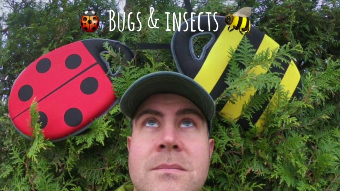 How To – Tips – BUGS & INSECTS for #winter with @GoPro #gardener How To - Tips - BUGS & INSECTS for #winter with @GoPro #gardener