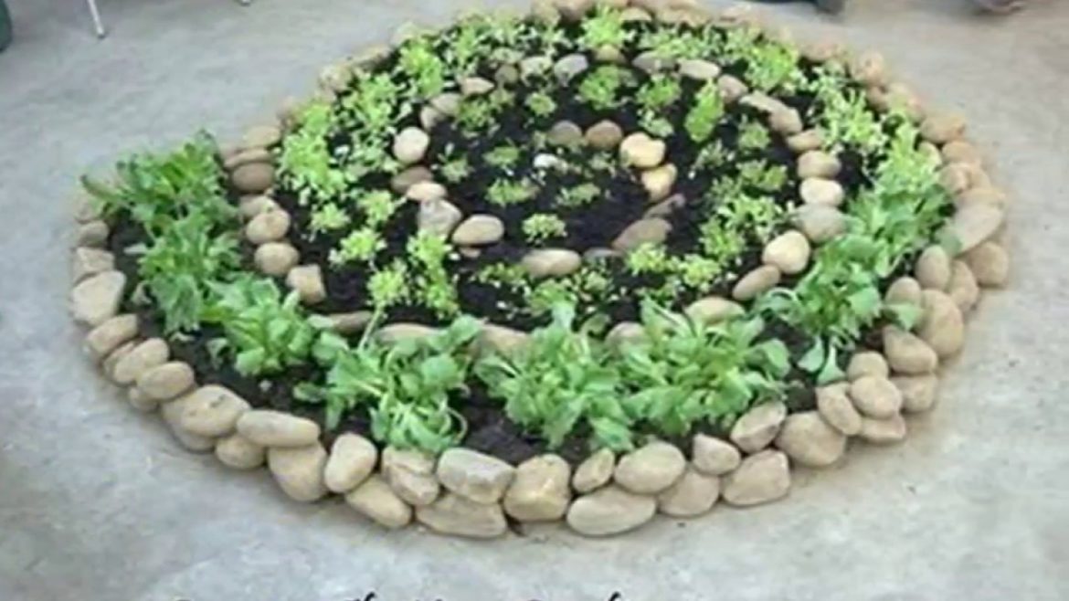 Small rock garden ideas Small rock garden ideas