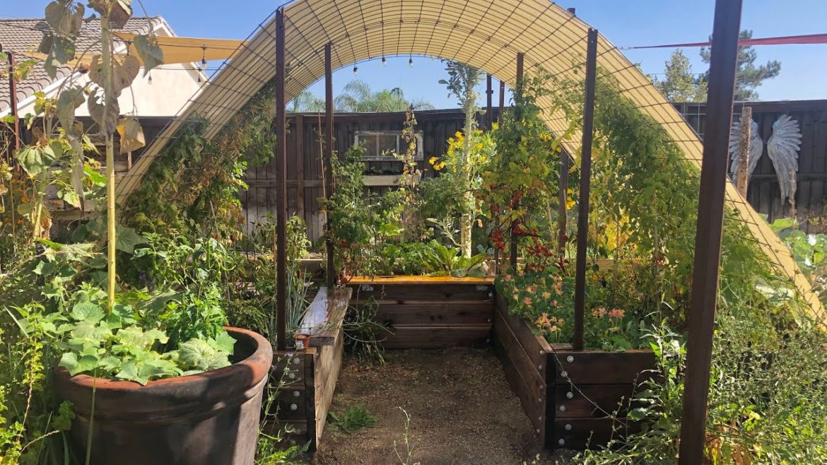 summer 2022 garden tour doubleraised bed cattlepanel, edible landscape￼ #southerncaliforniagardening